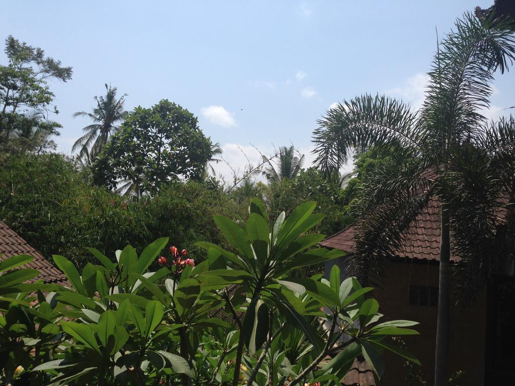 Ubud Rooms B&B Rom bilde