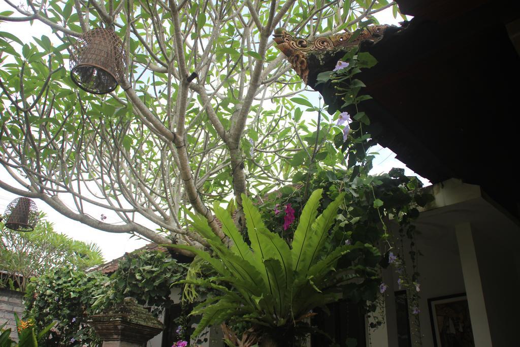 Ubud Rooms B&B Eksteriør bilde